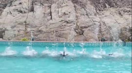 Chill Out at the Water Park: Your Ultimate Relaxation Destination