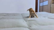 temp