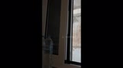 temp