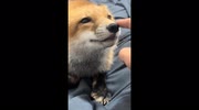 temp