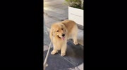 temp