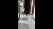 temp