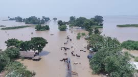 Drone footage shows Ganga, Gandak rivers overflowing in India