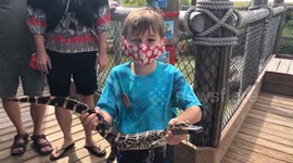 Little Dude's Alligator Adventure: Close Call at the Zoo!