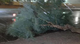 US, Phoenix: Phoenix Overnight Monsoon Storm Package