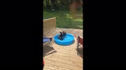 temp