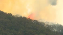 Morocco: North Morocco suffers property loss as forest fire rages