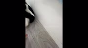 temp