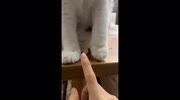 temp
