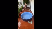 temp