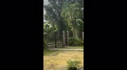 temp