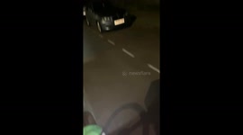 UK cyclist hilariously chased by fox on Lime bike near home