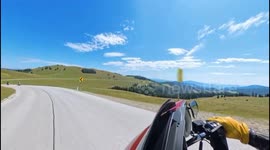 Moo-ving violation: Cow collides with biker, launched into field in Austria