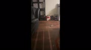 temp