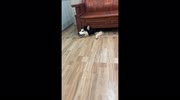 temp