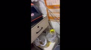 temp