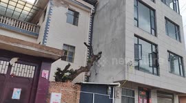 Tree grows through house wall in Yunnan, China