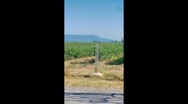 Tourist shows where Canada and US border meet