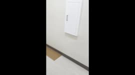 Abandoned at the Doctor's Office