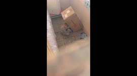 Boy Hides in Box to Play on Phone