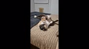 temp