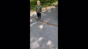 temp