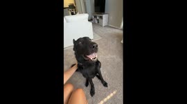 Time for His Breakfast Burp