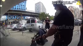 Stolen Pup Rock Safely Reunited With Owner by NYPD