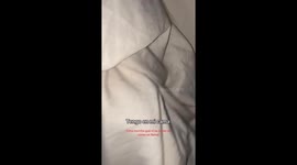 White Tiger in a Blanket