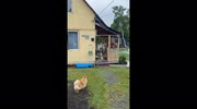 temp