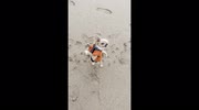 temp