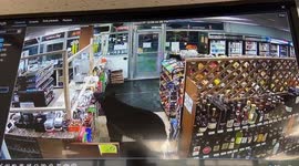 Black Bear Keeps Customers Out of Gas Station