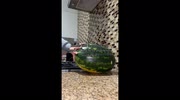 temp