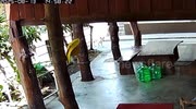 temp