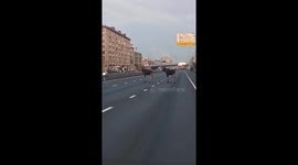 Moose casually block traffic on Entuziastov Highway in Moscow, Russia