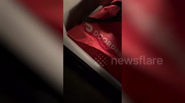 Immigrant DoorDash worker confesses he 