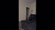 temp