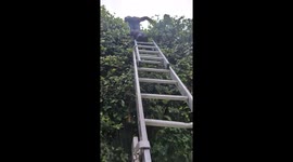 doing whatever it takes to get the job done