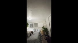 Girl falls off the bed while playing hide and seek with her dog