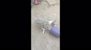 temp