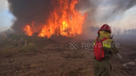 Spain: Forest brigades and locals battle wildfires in Galicia, Spain