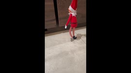 Elves take over the kitchen for a funny midnight snack prank