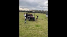 Boy runs excitedly and tumbles near the golf cart on the farm