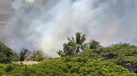 Maui Fire Department Puts Out Brush Fire