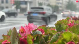 China: Dandong sees evacuation of over 14,000 people during summer flood season