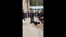 Dallas Police K9 Max Recovers After Heat-Related Illness