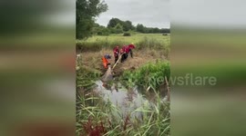 UK: Firefighters Rescue Particularly Large Cow Stuck In Canal