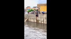 Hero scoops cat struggling in river out using makeshift net in Pakistan