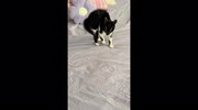 temp