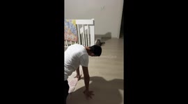 Friend mimicking cat scares real cat in Zonguldak, Turkey